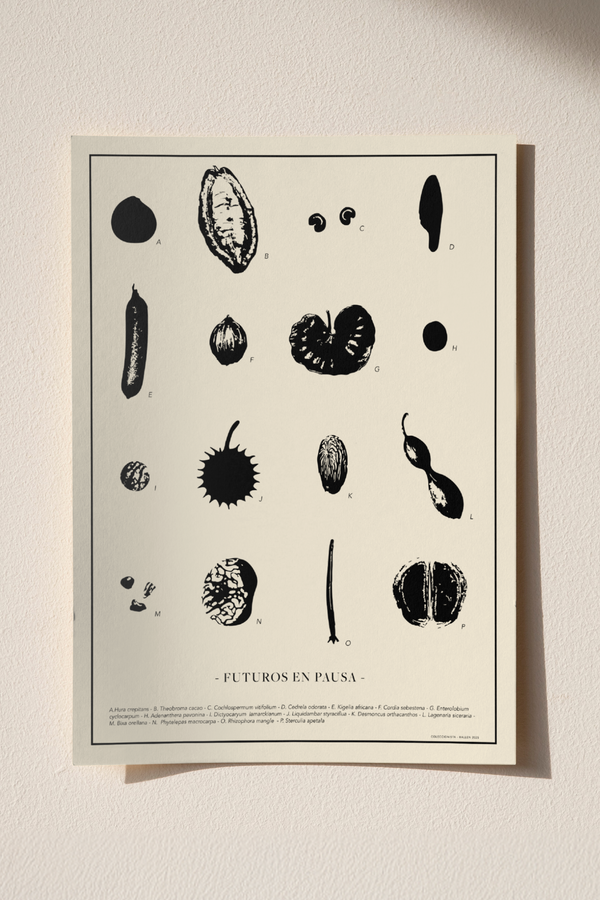 POSTER  50x70 -  FUTUROS EN PAUSA
