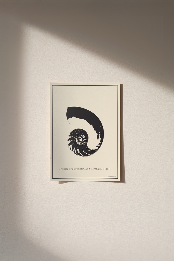 POSTER  30x40 - CONCHA