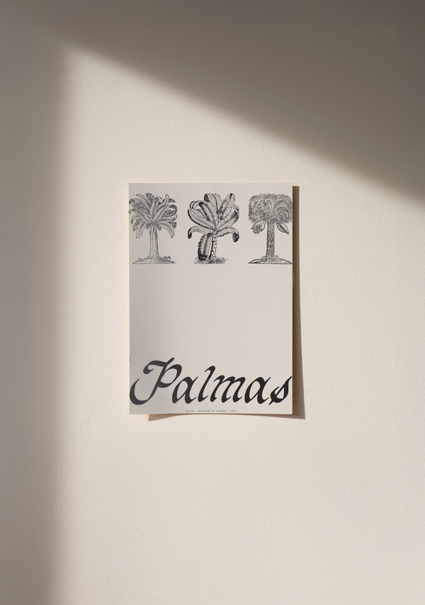 POSTER  30x40 -  PALMAS